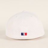 [L] A BATHING APE BAPE 00s X NEIGHBORHOOD BROTHERHOOD MESH BASEBALL CAP WHITE